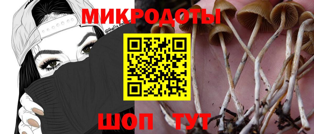 Галлюциногенные грибы GOLDEN TEACHER Жигулёвск